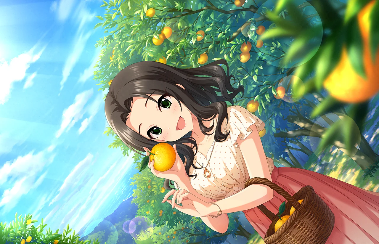 【フルーティー・ポップ】