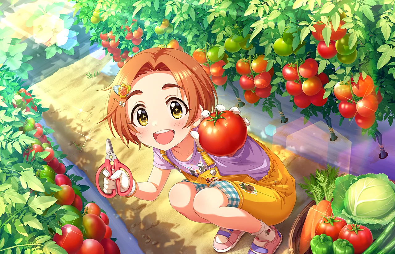 【たいようのガーデン】