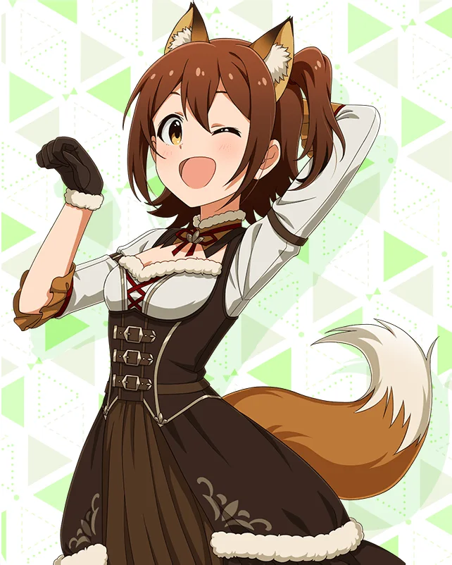 【耳としっぽシリーズ】