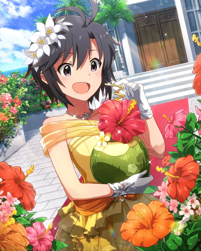 【サンセットブライド】