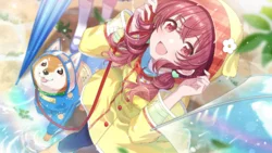 【ピタ・パタ・パウ・パウ】