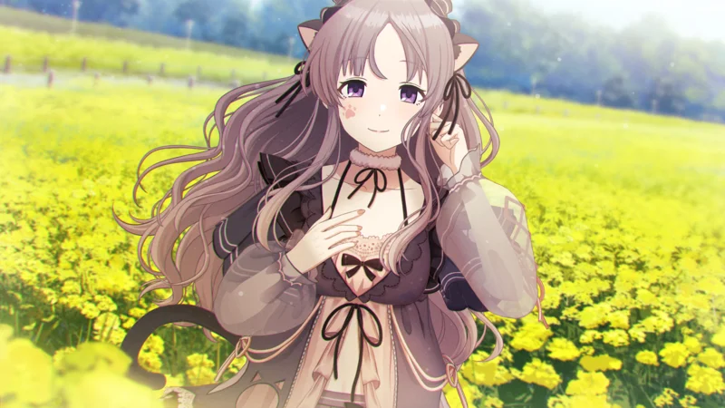 【黒猫が見せた夢】