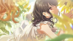 【ひまわり通りのそらと白】