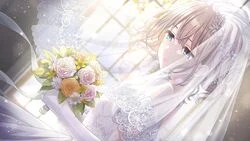 【象牙の塔の姫に捧ぐ】