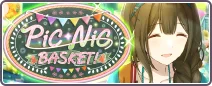 PiCNiC BASKET!