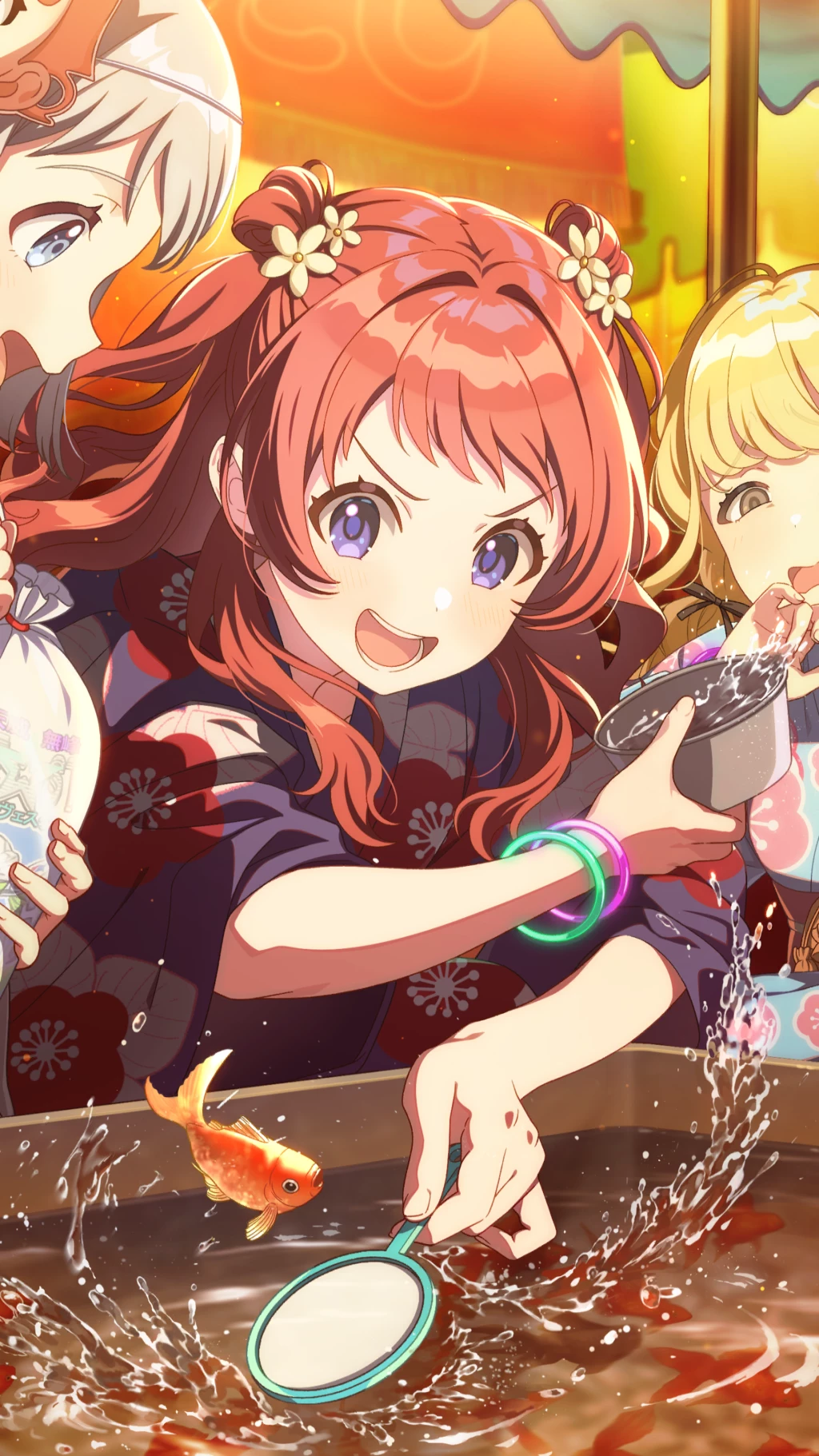 【冠菊】