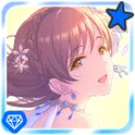 新田美波