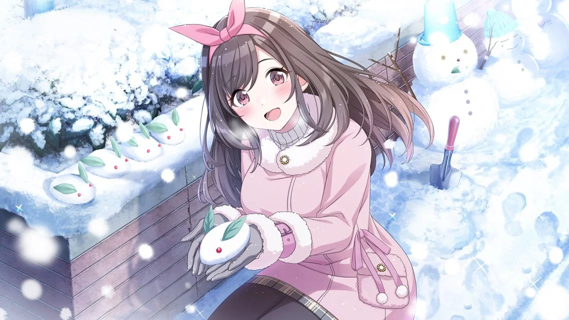 【雪、えとせとら】